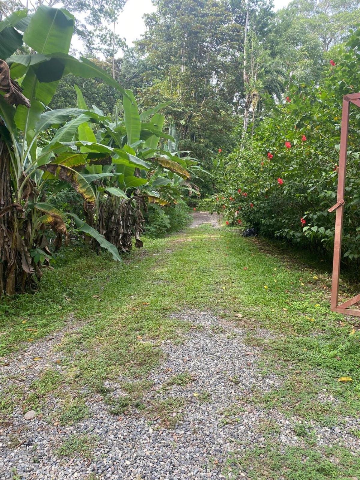Willa Caribbean Retreats Cocles Zewnętrze zdjęcie