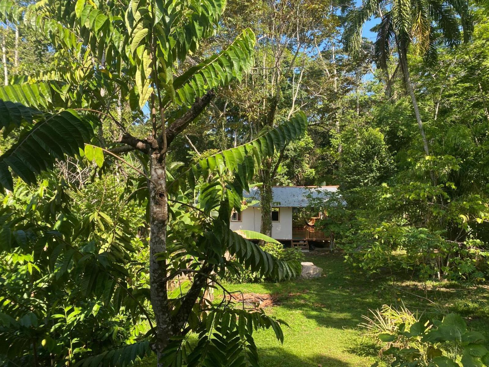 Willa Caribbean Retreats Cocles Zewnętrze zdjęcie